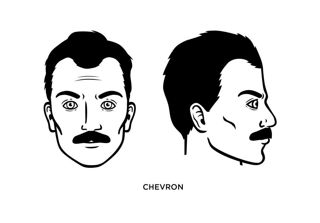 chevron mustache