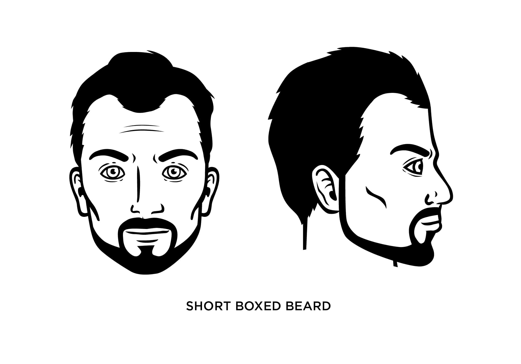 short boxed beard