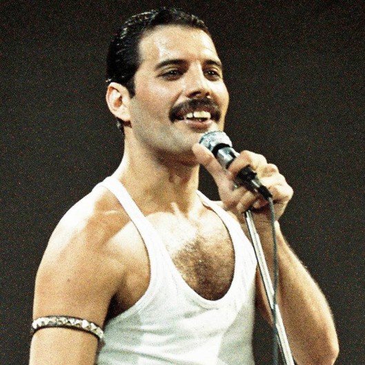 Freddie Mercury chevron mustache