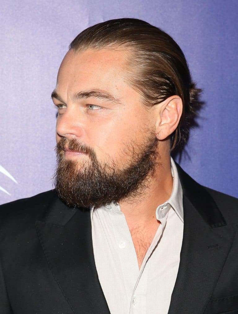 Leonardo DiCaprio Hollywoodian beard