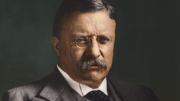 Theodore Roosevelt walrus mustache
