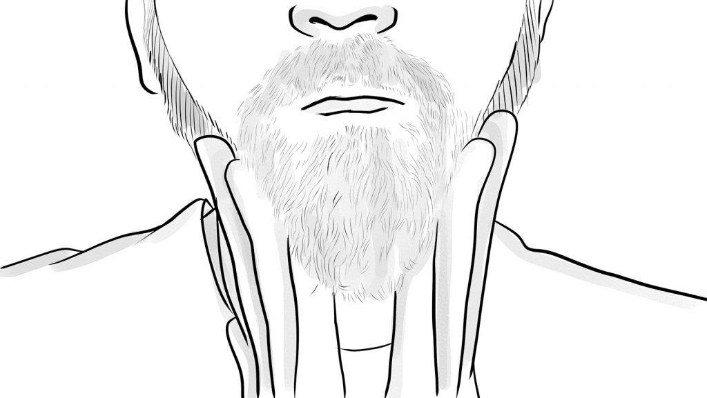 massage the beard balm into your beard