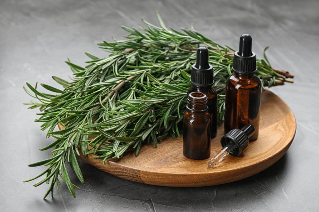 Rosemary oil