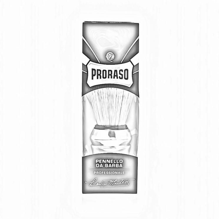 Proraso Professional Shaving Brush-min
