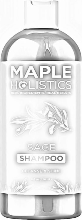 Maple Holistics Sage Shampoo for Anti-Dandruff