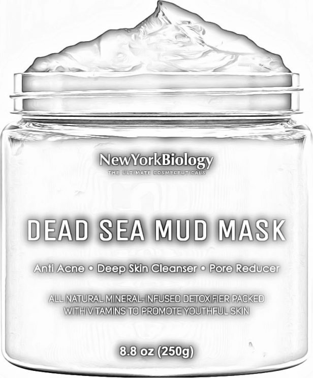 New York Biology Dead Sea Mud Mask_