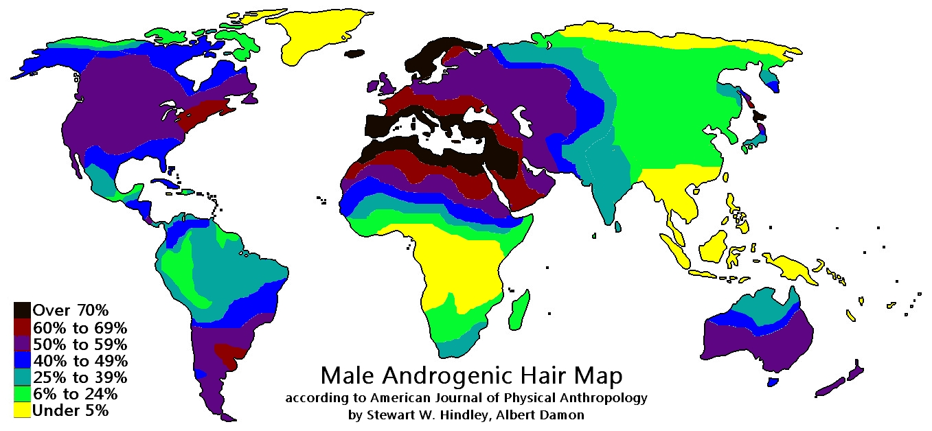 Male Androgenic Hair Map