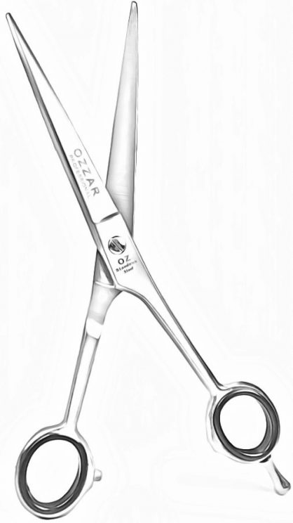 OZZAR International Professional Hair Cutting Scissors