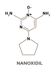nanoxidil
