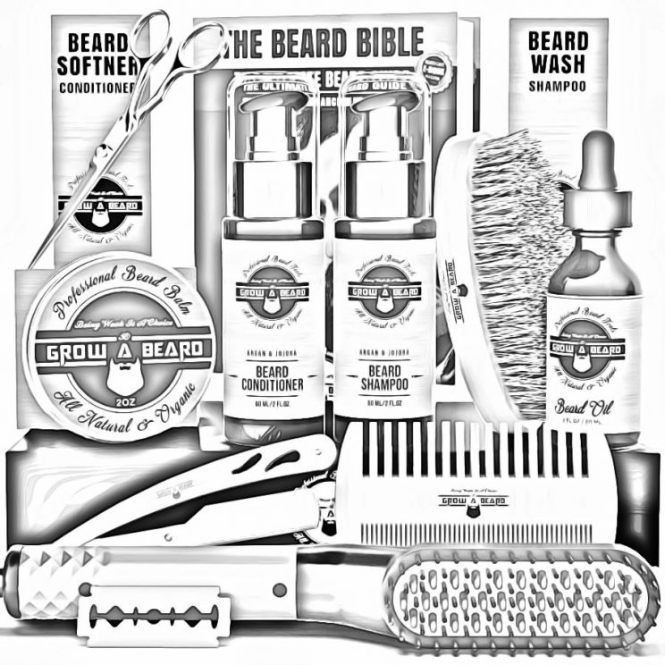 The Beard Bible Beard Straightener Grooming Kit for Men