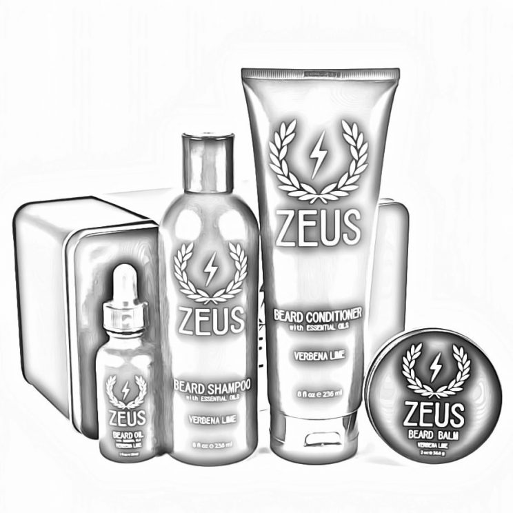 Zeus Deluxe Beard Grooming Kit for Men