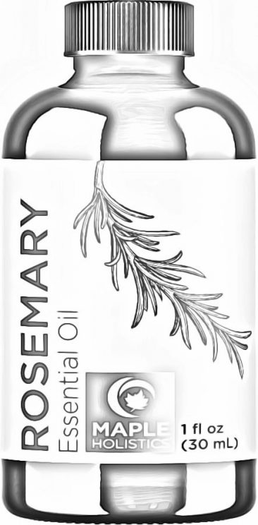 Maple Holistics Pure Rosemary Essential Oil Stimulating Scalp Treatment