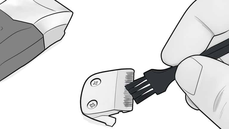 Clean the blades after every use
