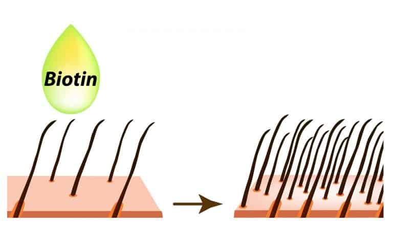 biotin