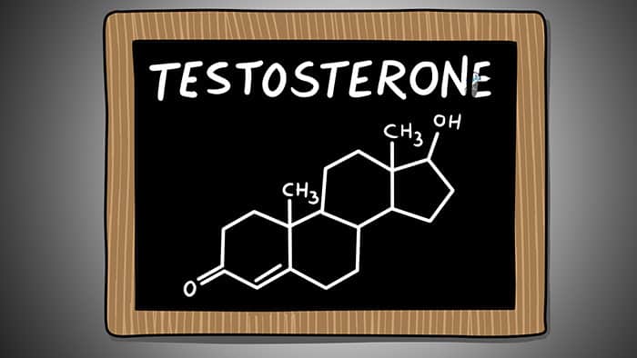 testosterone