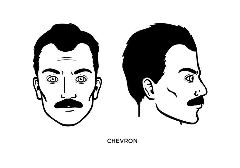 chevron mustache