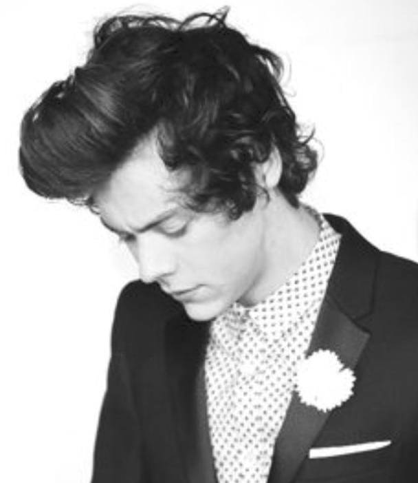 harry syles