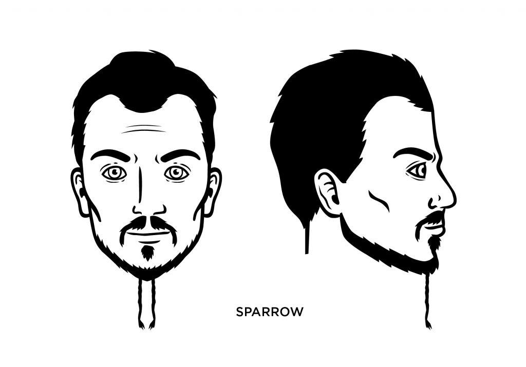 sparrow beard